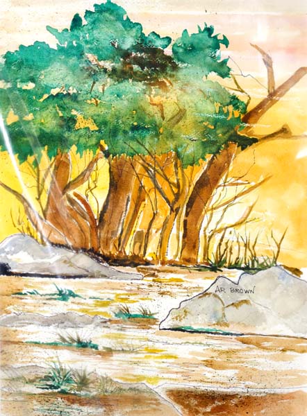 ARB_050.jpg