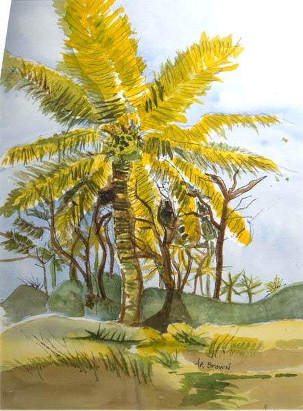 ARB_078.jpg