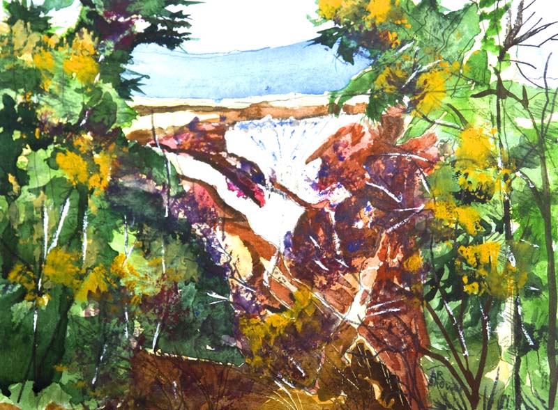 ARB_358.jpg