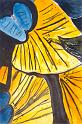 ARB_029