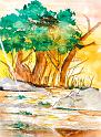 ARB_050
