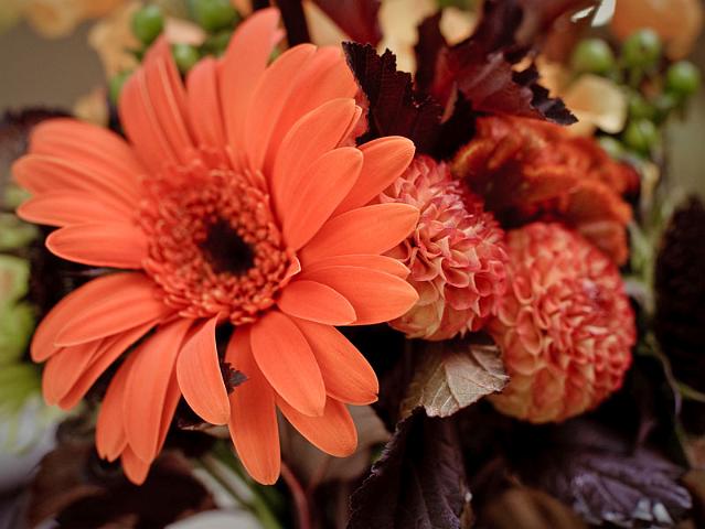 Wedding_049.jpg