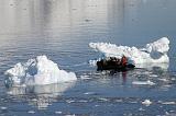 IMG_3253 The Zodiacs had to dodge between icebergs.