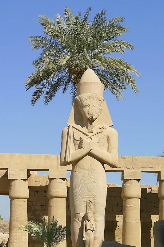 IMG_1937 Ramses with a tree growing from his head.