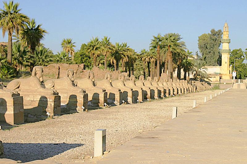 IMG_1954 Why have just one sphinx when you can have hundreds?  These were a portion of those which once lined a 2 mile long causeway.