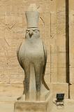 IMG_1994 Horus says howdy.