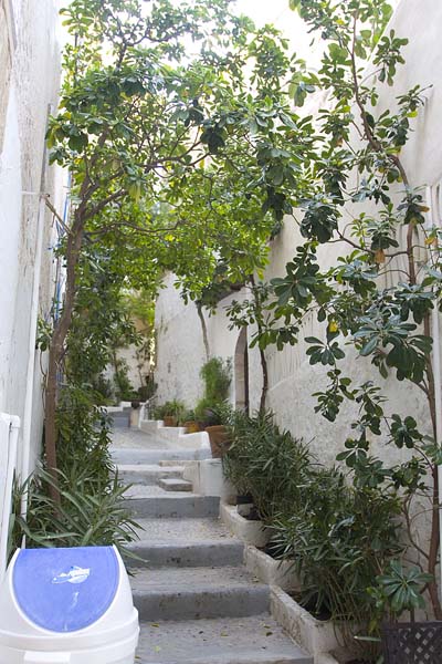 GM050_Ibiza_124.jpg