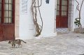 GM050_Ibiza_044
