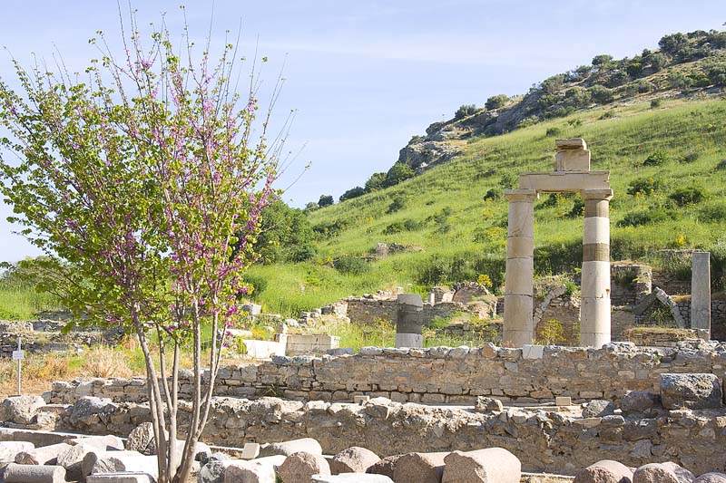 GM170_Ephesus_037.jpg