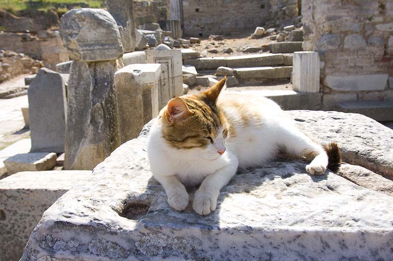 GM170_Ephesus_108.jpg