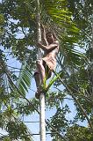 CRW_4989 Nov. 21, 2006 - Belem, Brazil.  A boy showing us how he get fruit from the tree.