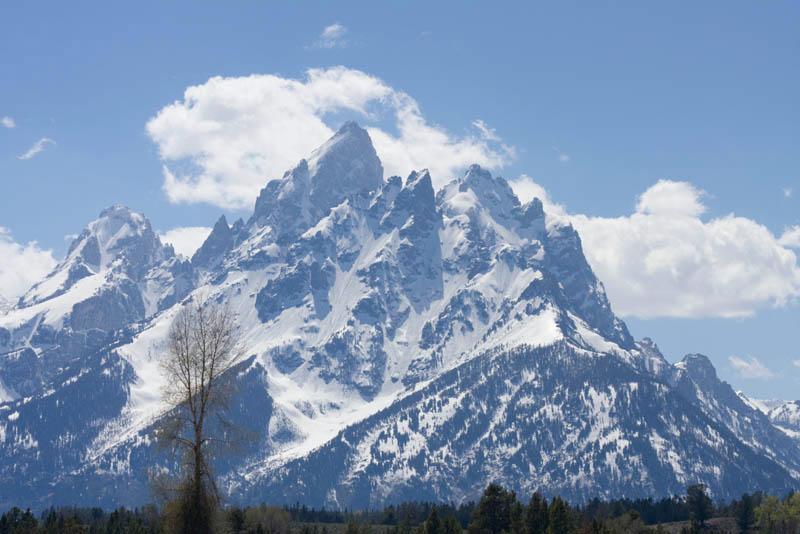 YGT_092.jpg - Tauck Tour - Yellowstone & Grand Tetons