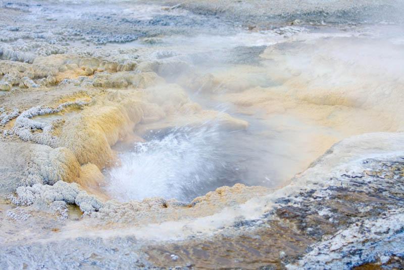 YGT_183.jpg - Tauck Tour - Yellowstone & Grand Tetons