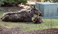 YGT_034