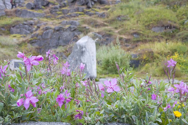 VV030_Qaqortoq_048.jpg