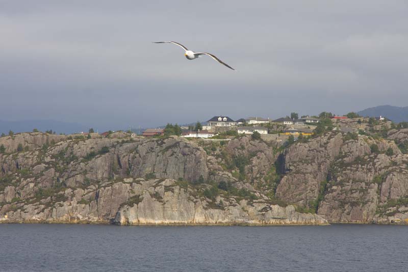 VV080_Bergen_067.jpg