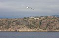 VV080_Bergen_067