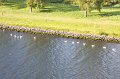 VV120_Amterdam_050