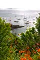 VV130_Dunmore_027