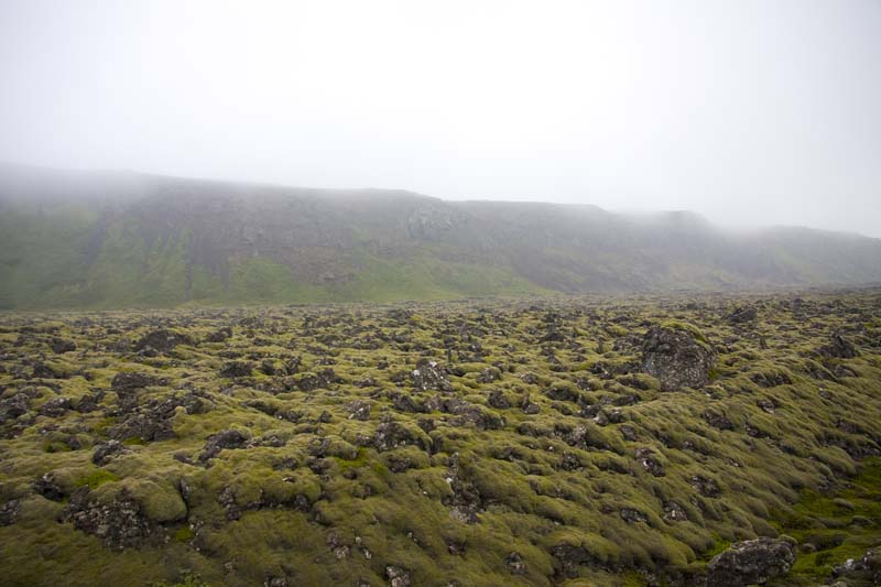 VV170_Reykjavik_026.jpg